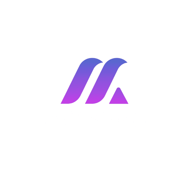 Logo Melt Studio